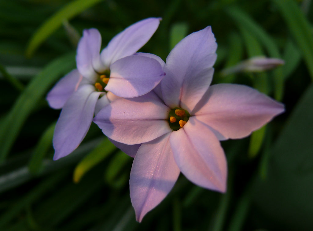 Abbraccio al tramonto