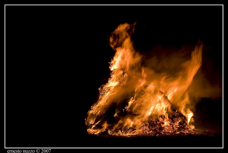 "gatto" nella f�cara