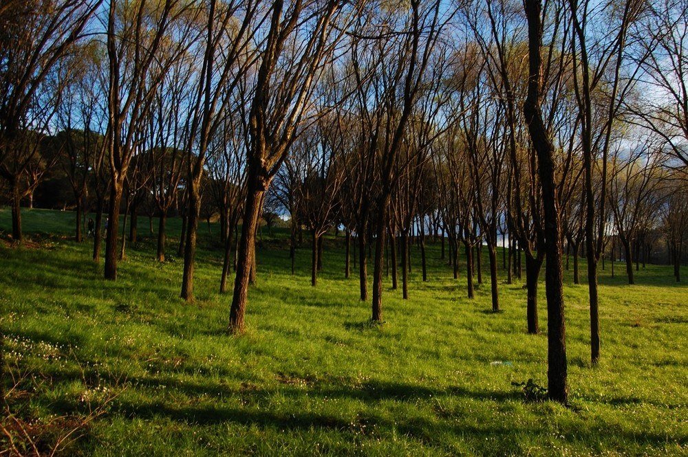 Villa Pamphili - prima del tramonto