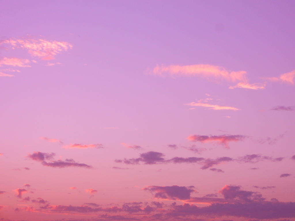 batuffoli di cotone PINK!!