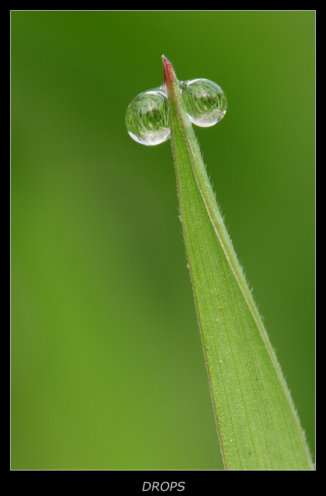 Drops