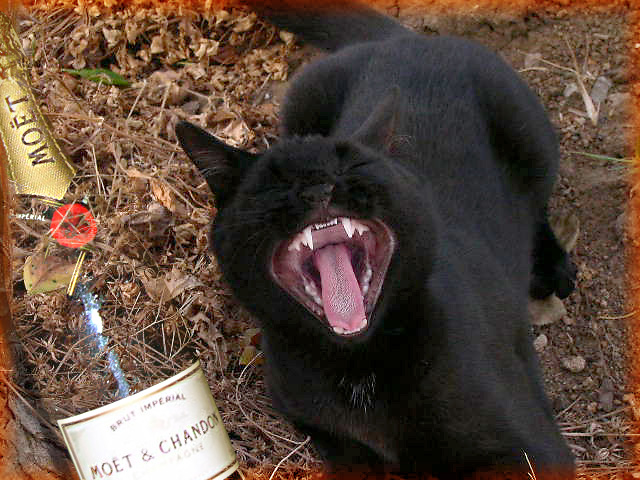 Ubriaco fradicio :)))