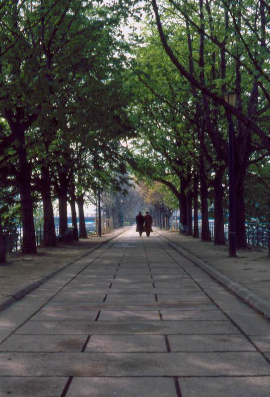 prospettiva diplomatica su un'amicizia