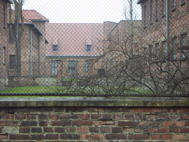 auschwitz 1