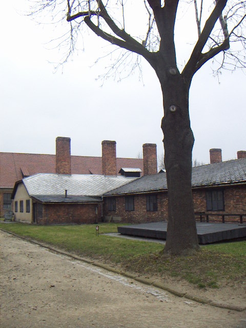 auschwitz 2