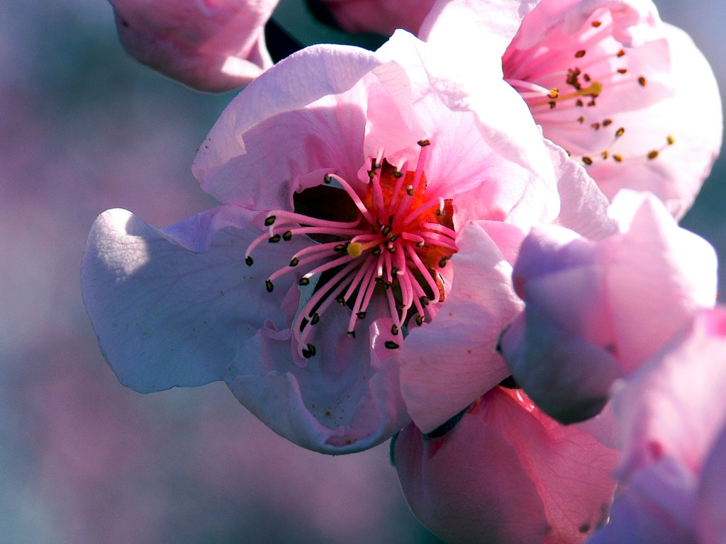 La bellezza della natura