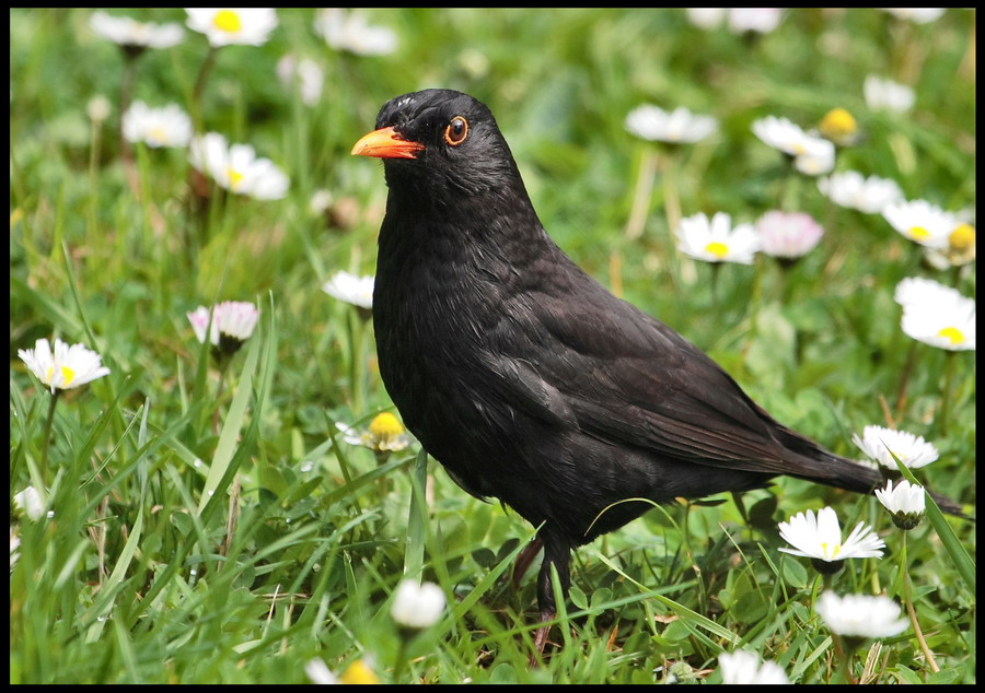 Che fai ti decidi a scattare?