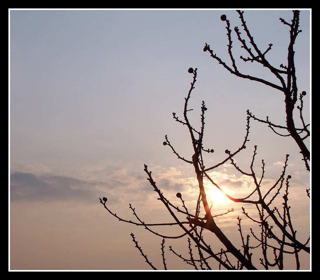 Inizia la giornata...