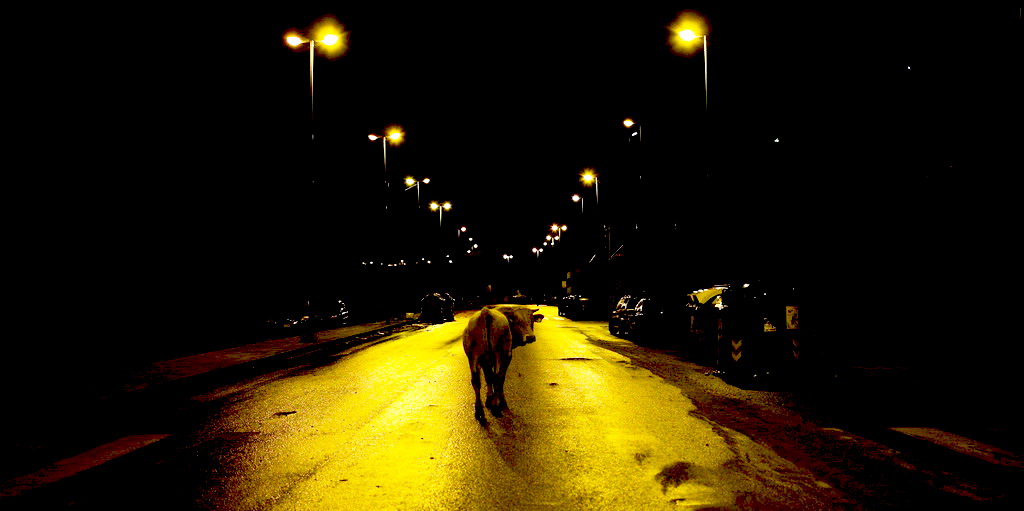 dream that the money can't buy