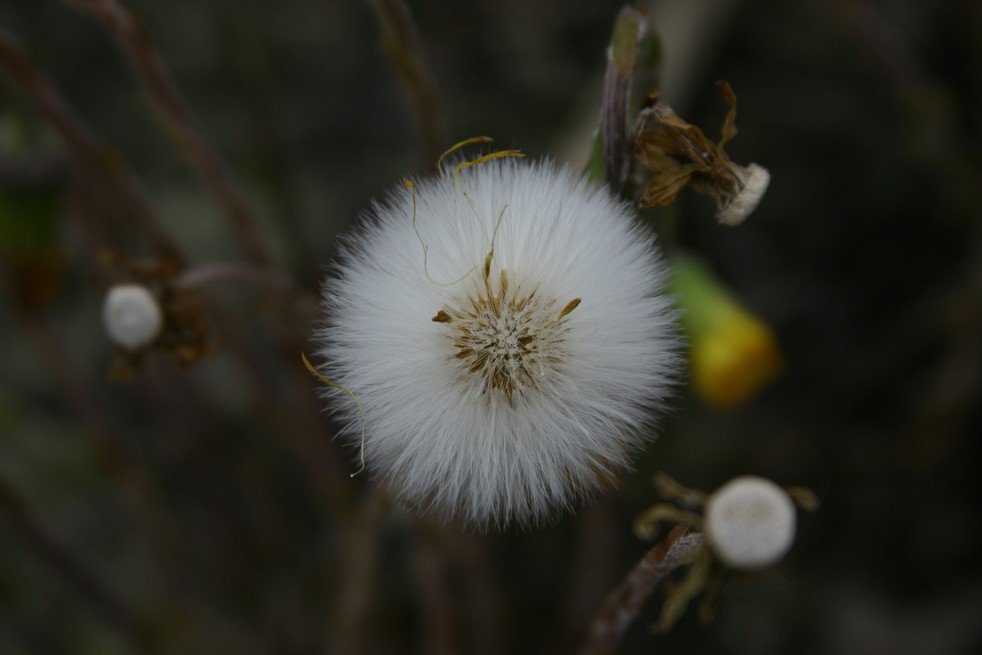 non soffiare ... si rompe