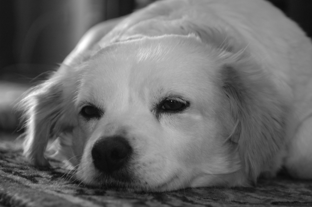 bdofff...come sono stanca.....