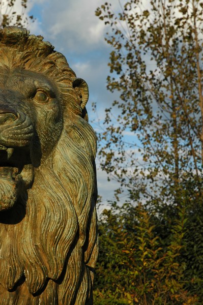 leone 2 altra prospettiva