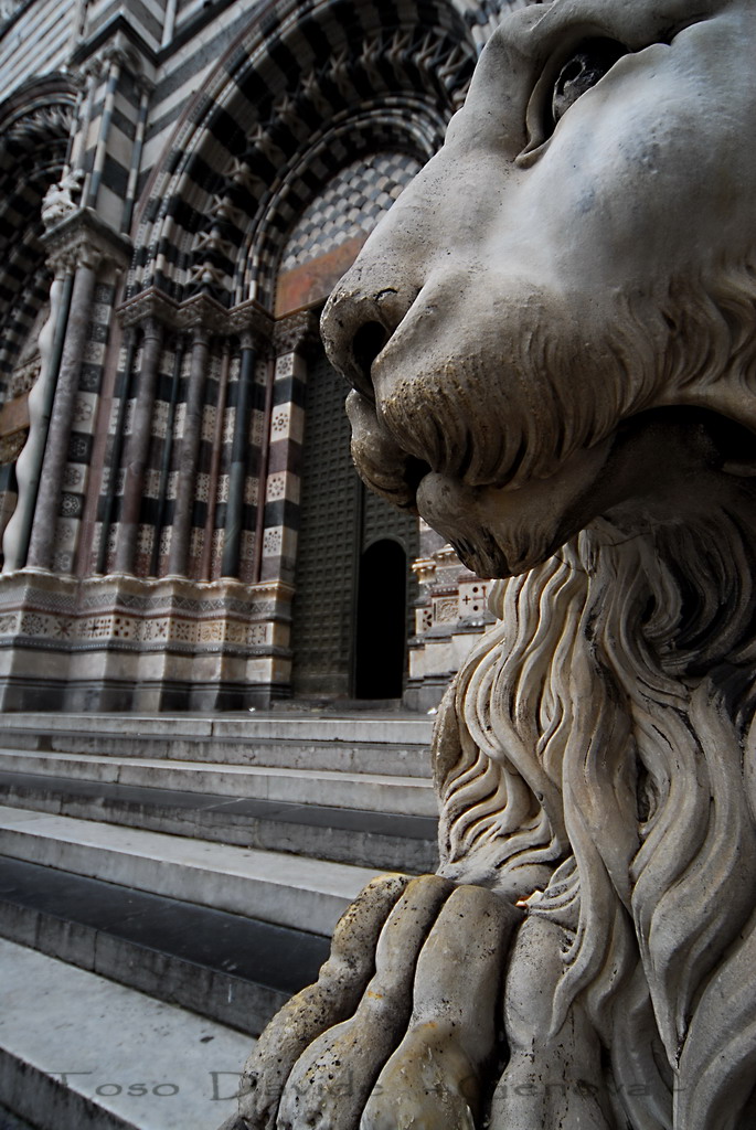 cattedrale di S.Lorenzo - Genova -