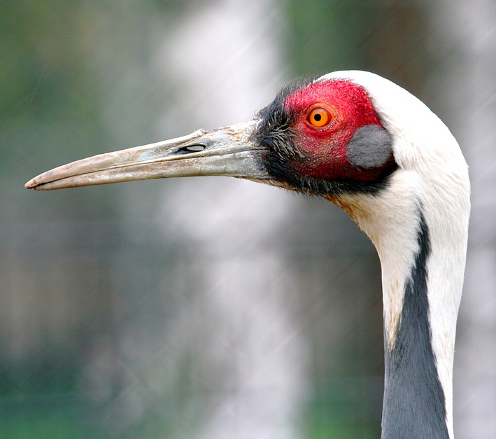 foto segnaletica.... di profilo