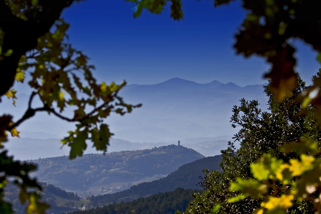 Castello di Pitino 2