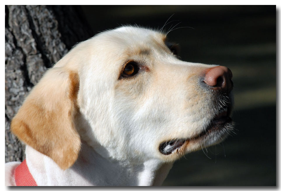 intensit� di uno sguardo