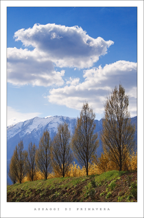 assaggi di primavera