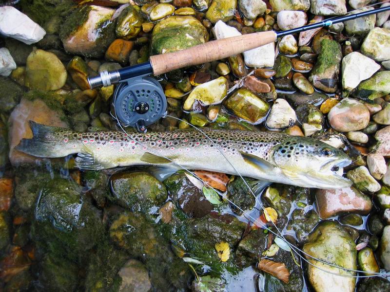 Protagonista del Nera