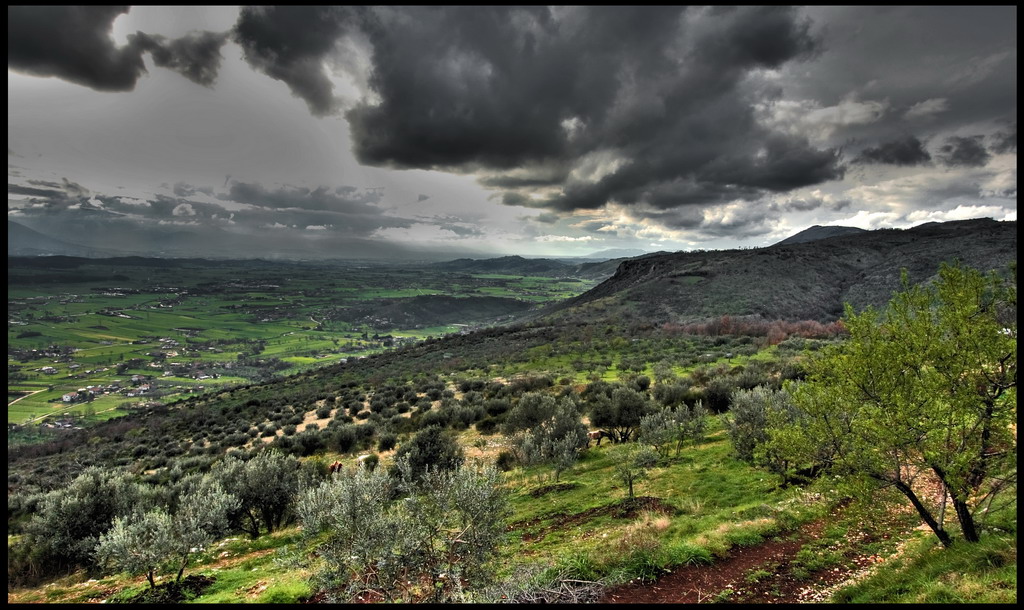 Tra una pioggia e l'altra