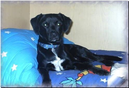 ciccio....il fotomodello