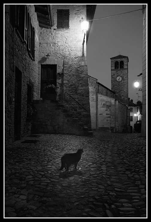 Il gatto di Vigoleno