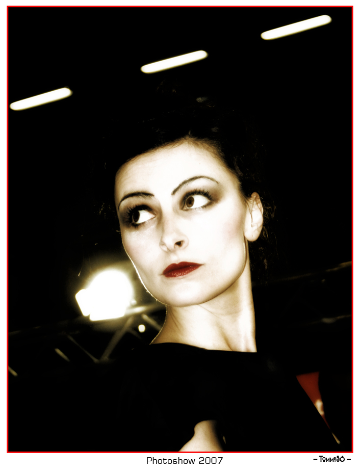 Photoshow 2007