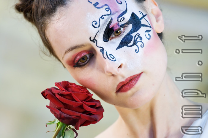 Rosa rossa, gentil pensiero