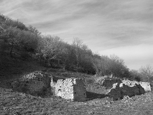 Rudere al limitar del bosco