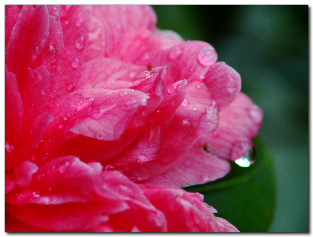 United colors of Nausicaa atto III�!