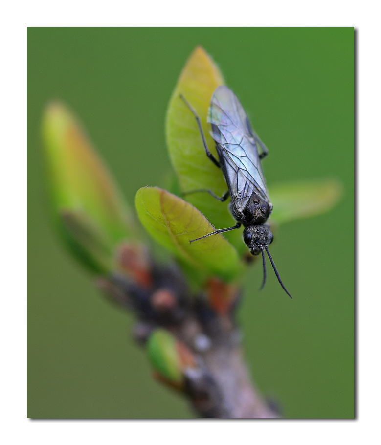 ... adesso scendi....