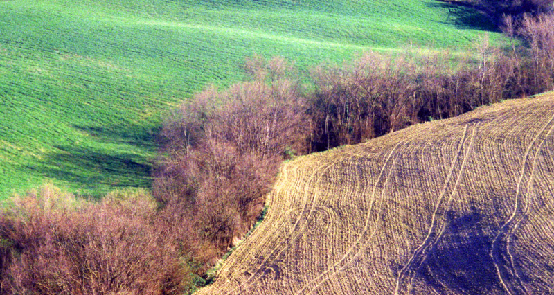 ...Il bello e il brutto!!!...