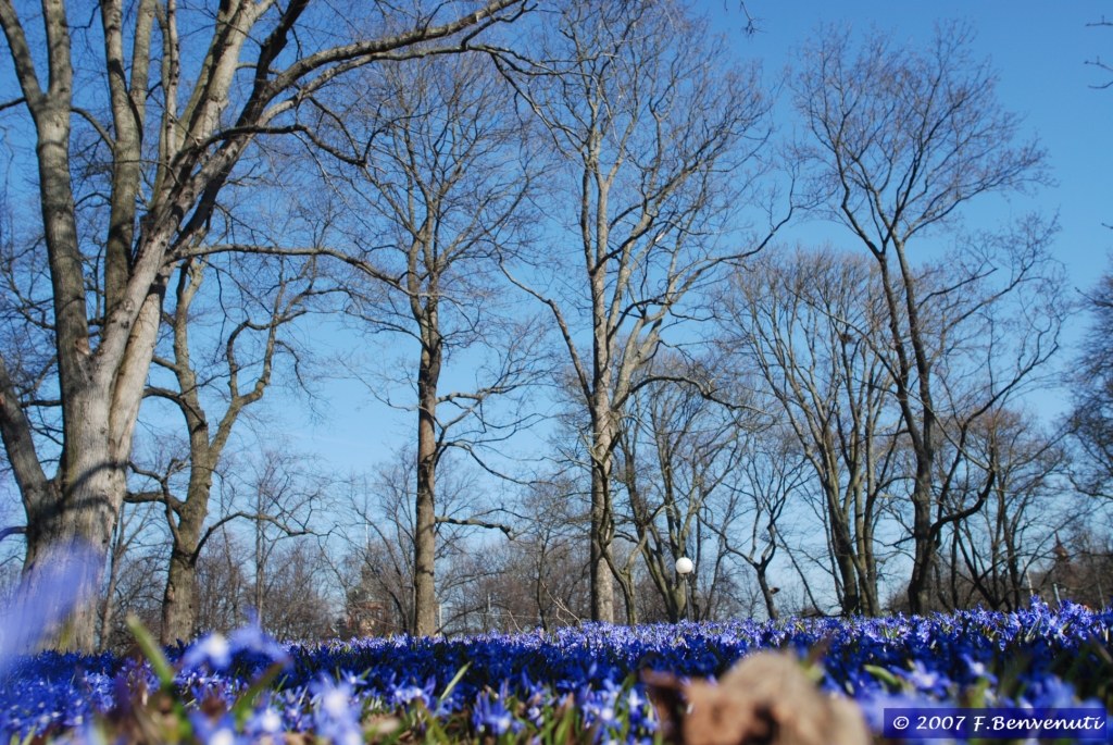 Stoccolma Skansen Park 3