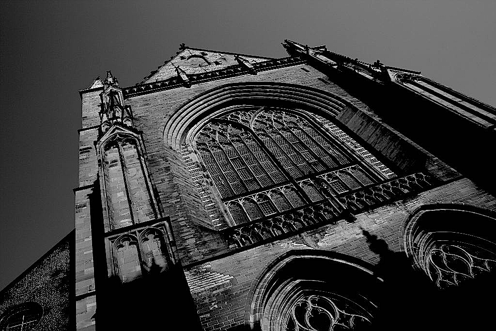 Cattedrale ad Haarlem NL