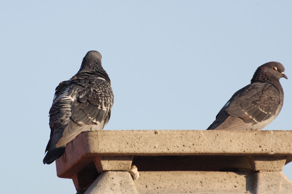 Indifferenza e fastidio...