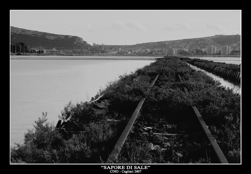 Sapore di Sale