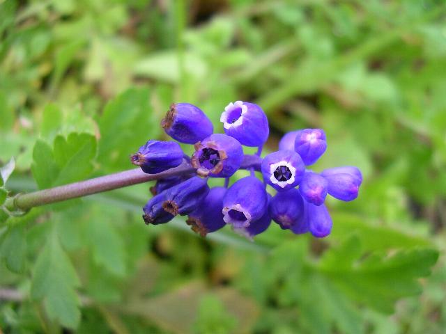 lotta contro il vento