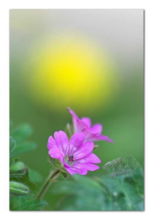 Buona Pasqua a tutti