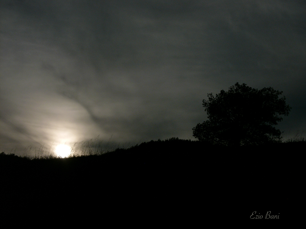 Silhouette a Migianella