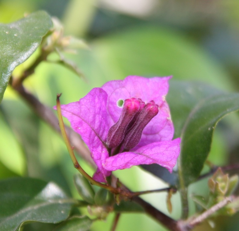 PRIMA USCITA EOS 30D