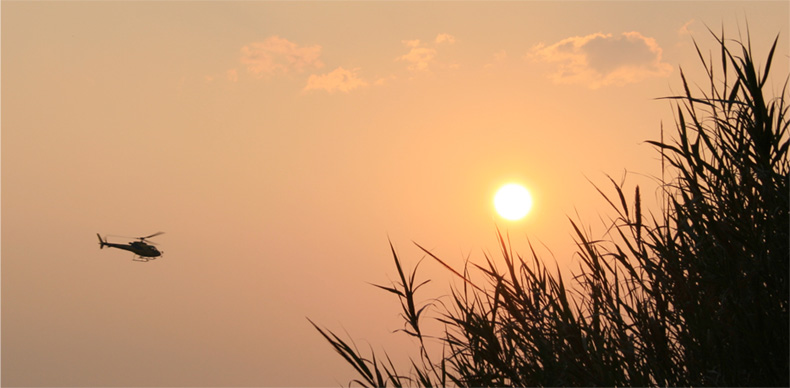 c'arrivo!! c'arrivo!!