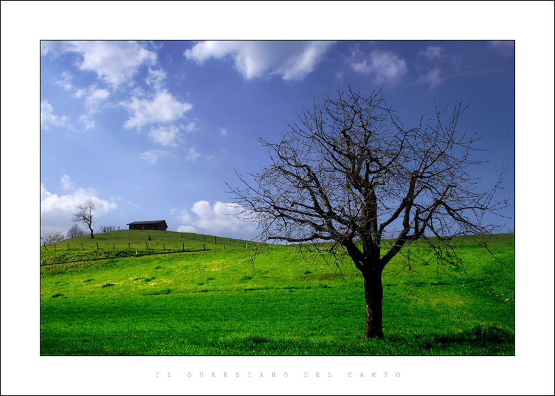 il guardiano del campo