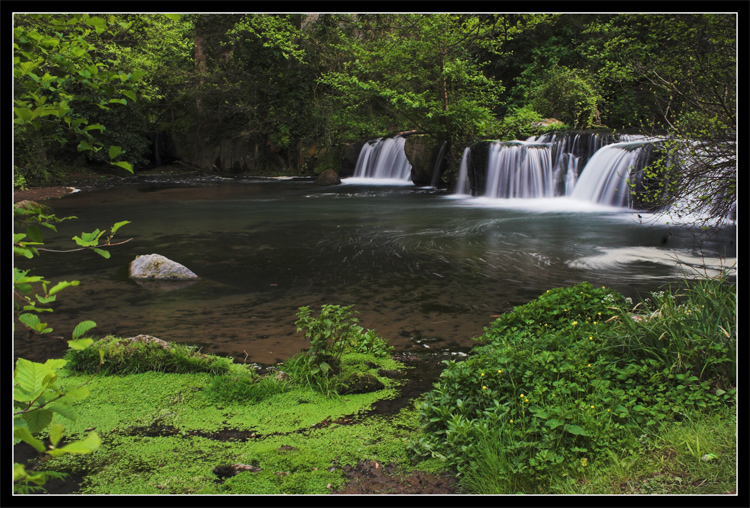 Spring in Monte Gelato#2