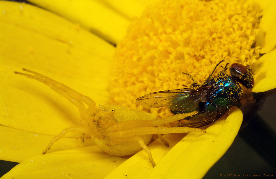 Largo, fatela respirare!!