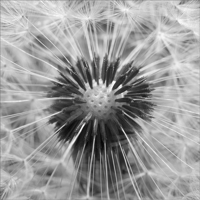 exactly what you wanted