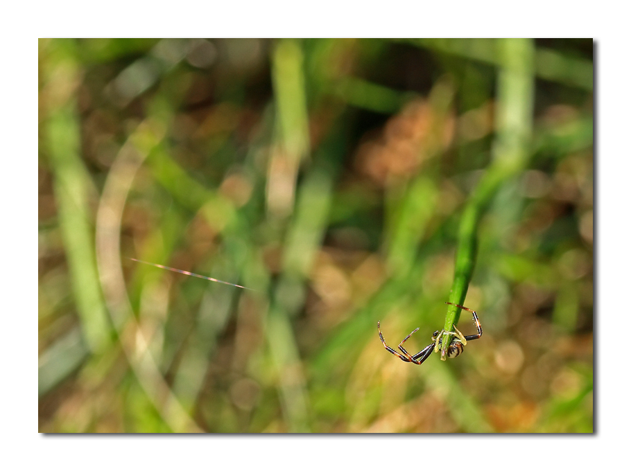 teleferica in partenza