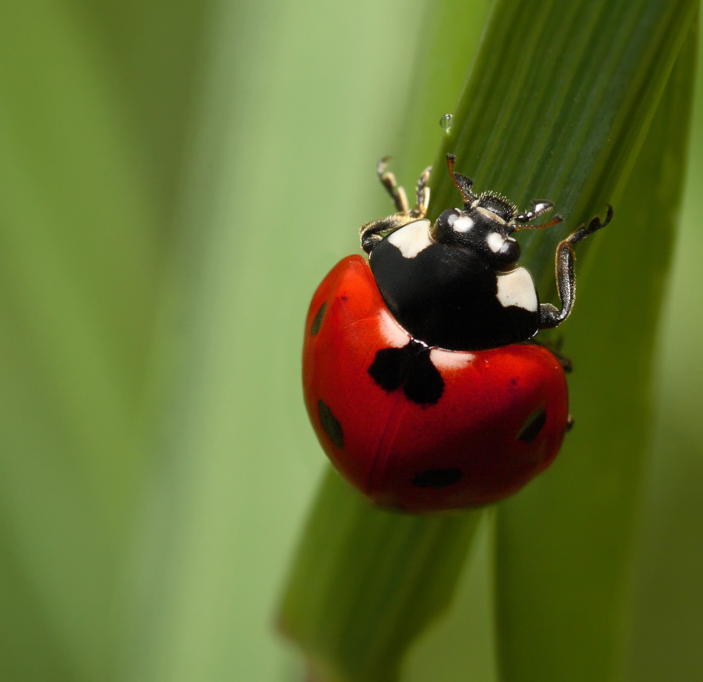 che dura la salita...