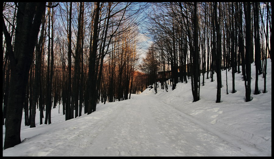 La mia prima...e ultima neve
