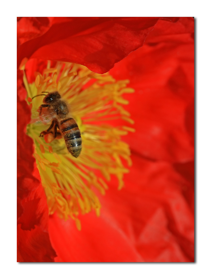 al volo (x EpLy e Pigi)