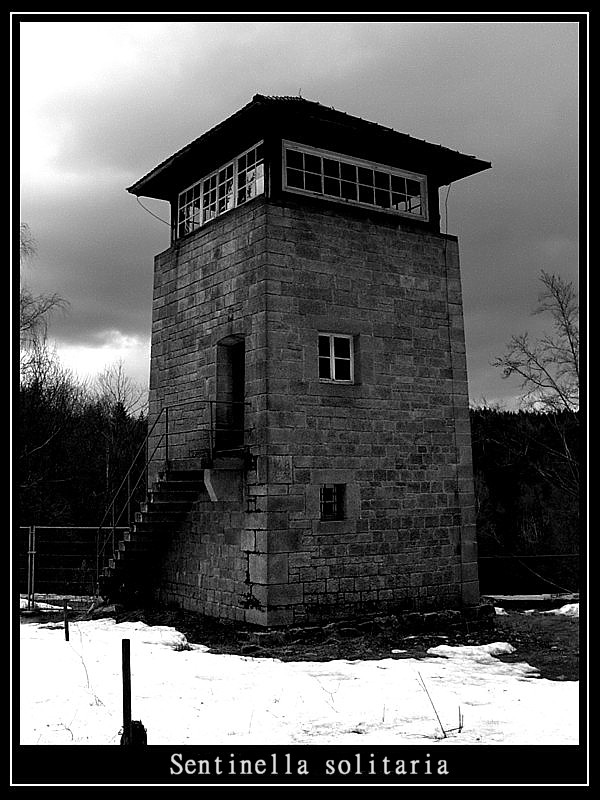 Sentinella solitaria