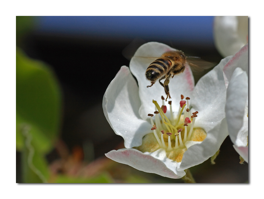 ...buttati...... che � morbido!!!!!